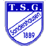 Hier geht's zur Homepage der TSG Sandershausen